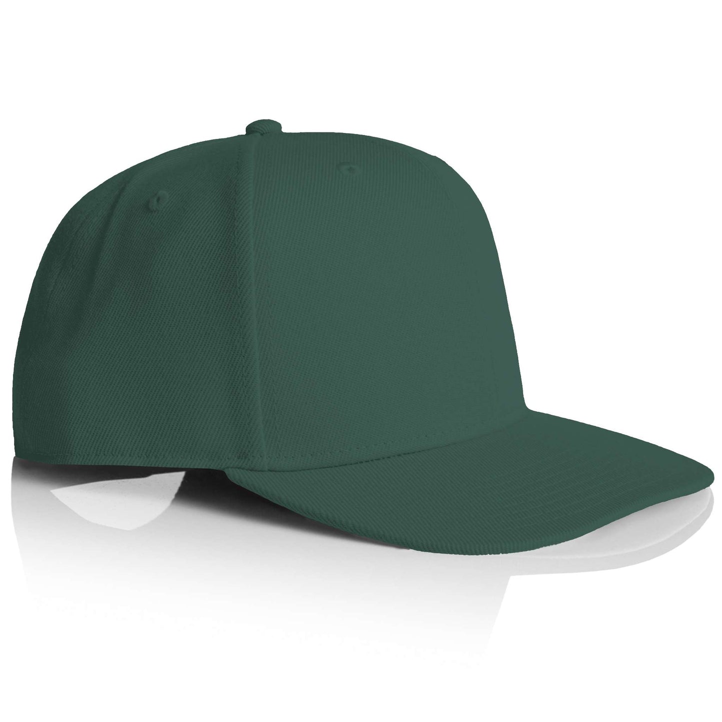 The Horizon Snapback