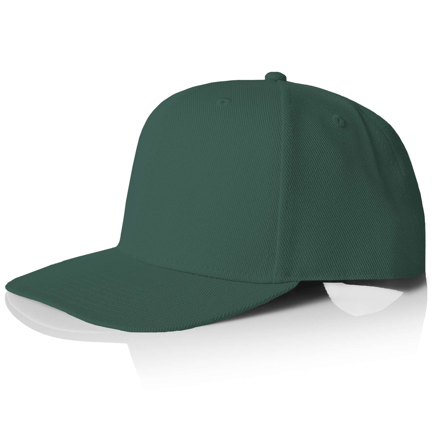 The Horizon Snapback
