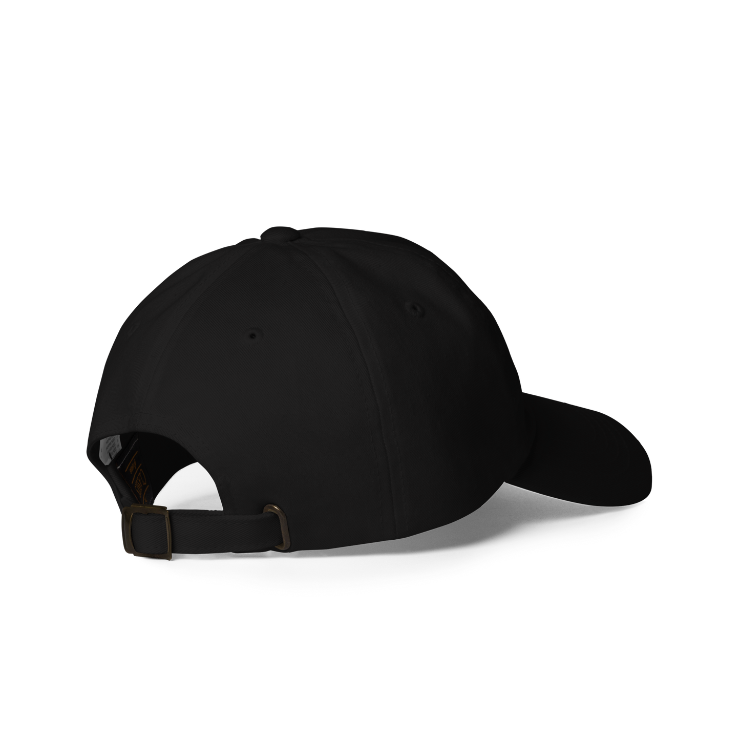 just coasting through life cap
