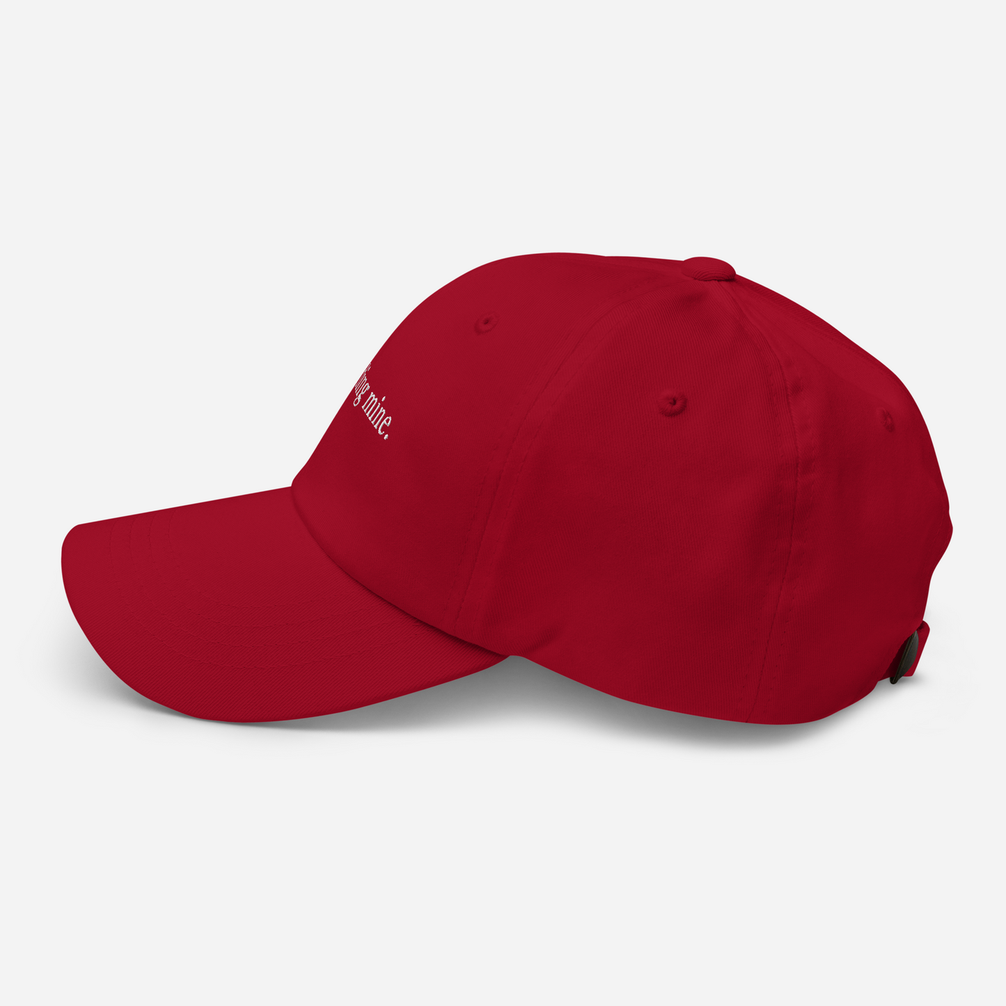 minding mine cap