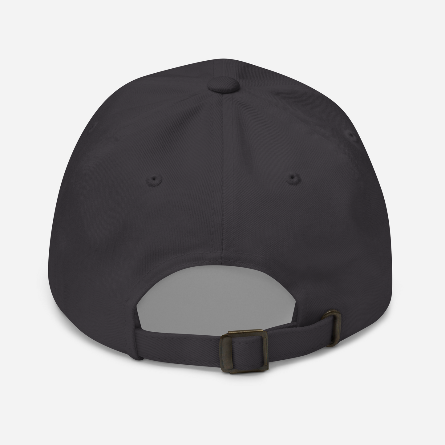 just coasting through life cap