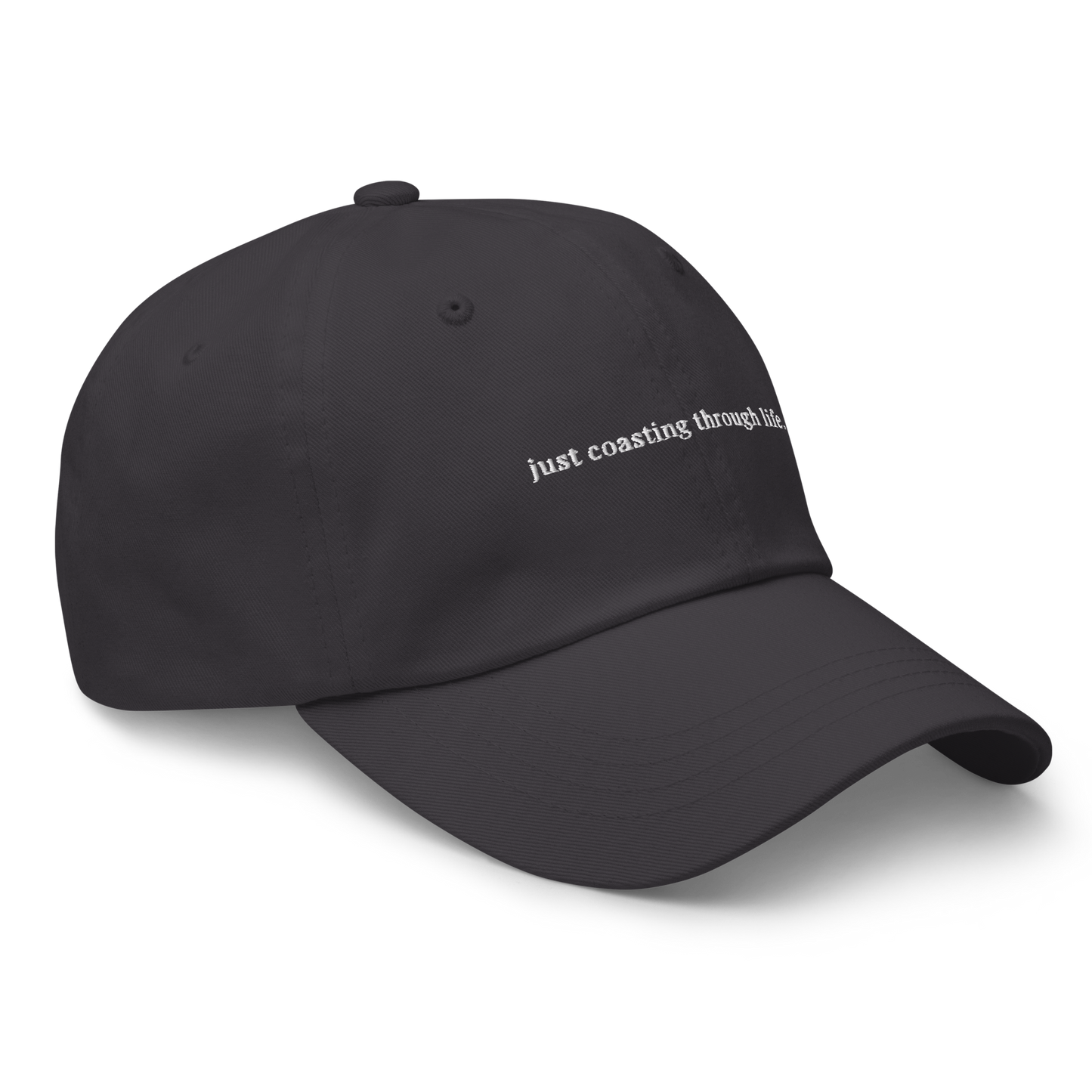 just coasting through life cap