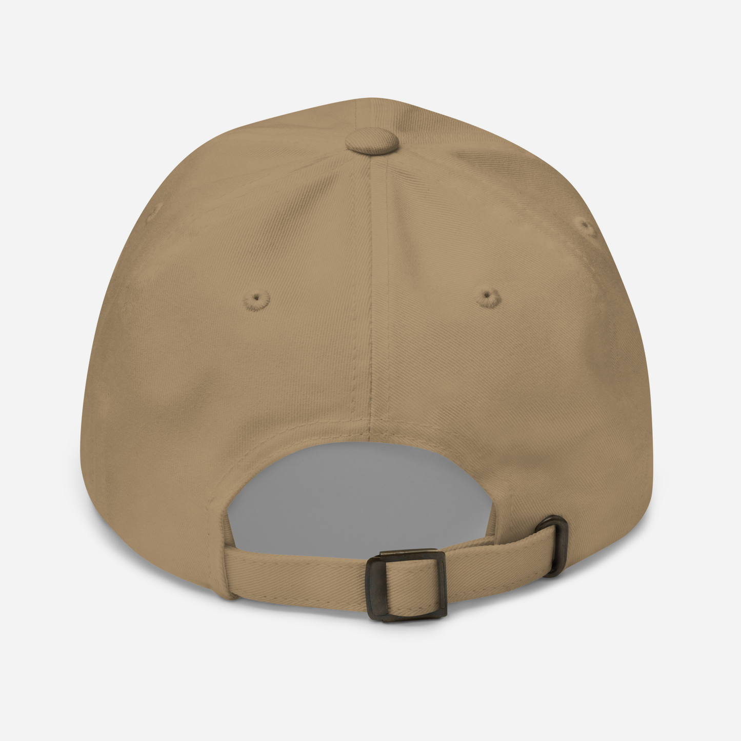 just coasting through life cap