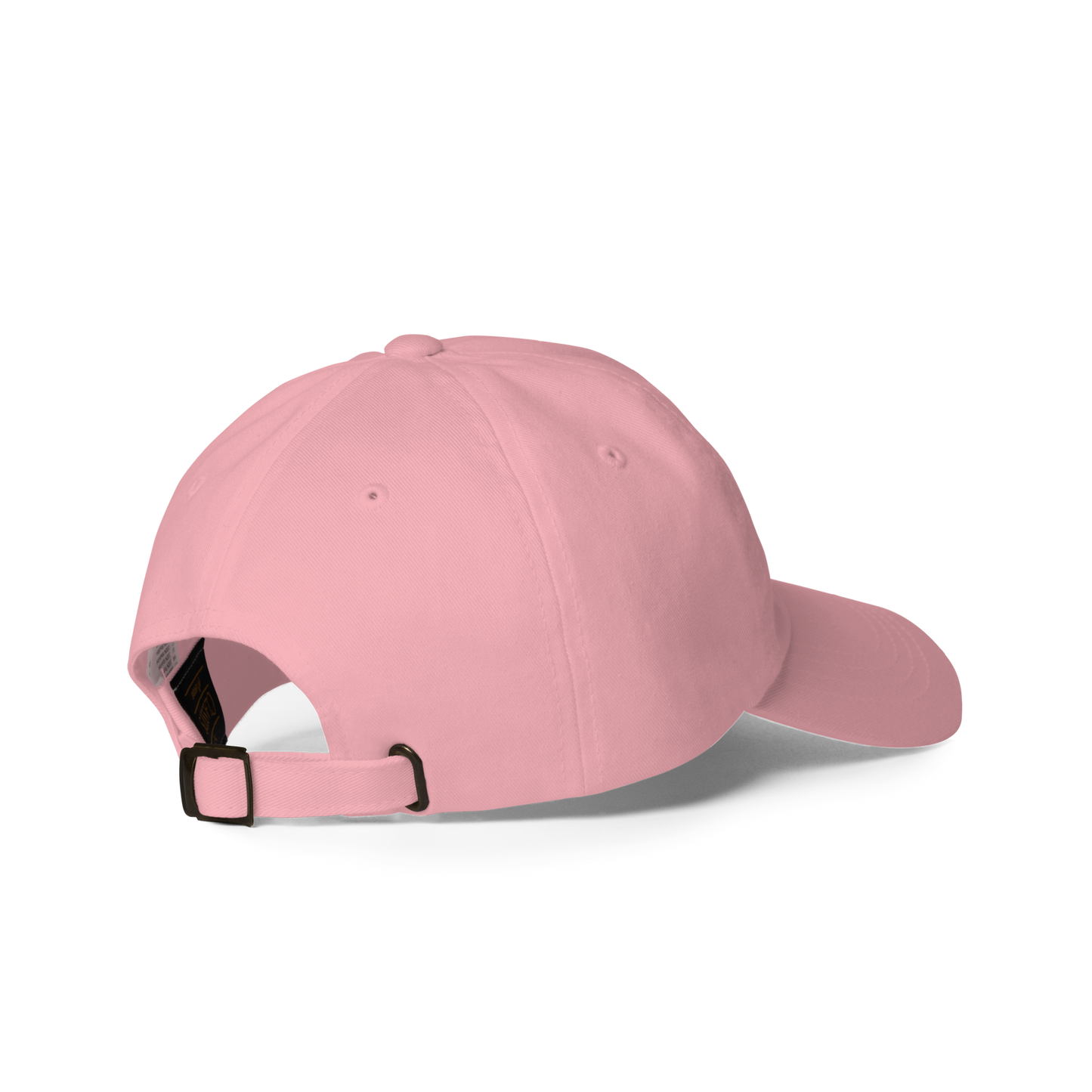 just coasting through life cap