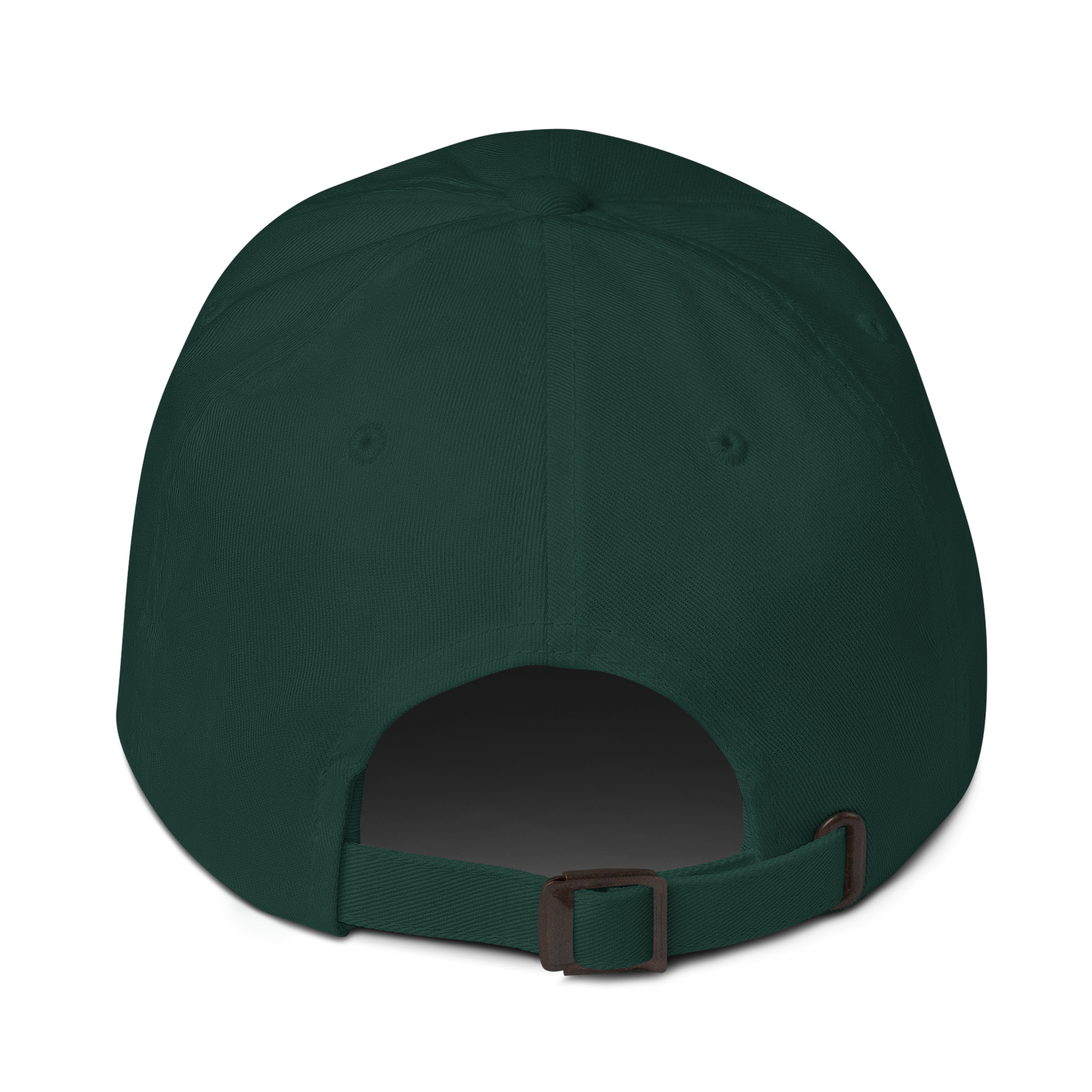 just coasting through life cap